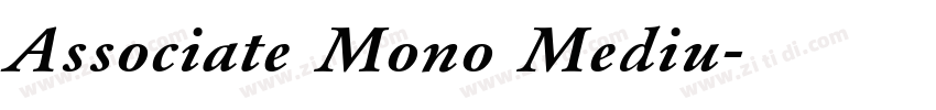 Associate Mono Mediu字体转换